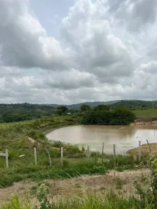 Fazenda/Sítio à venda, 630000m² no Centro, Serraria