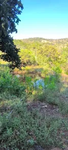 Fazenda/Sítio com 3 Quartos à venda, 18m² no , Bonfinópolis