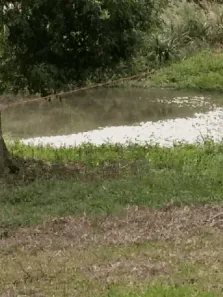 Fazenda/Sítio com 2 Quartos à venda, 5000m² no , Caraá