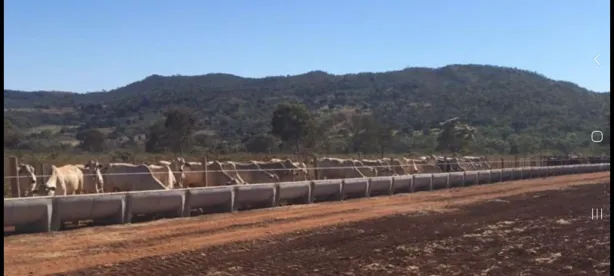 Fazenda/Sítio com 3 Quartos à venda, 150m² no , Niquelândia