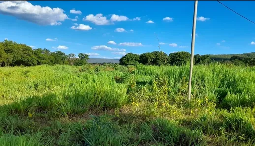 Fazenda/Sítio à venda, 30m² no , Buritis