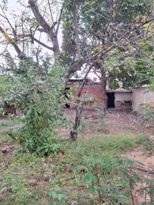 Fazenda/Sítio com 3 Quartos à venda, 156m² no Campo Grande, Rio de Janeiro
