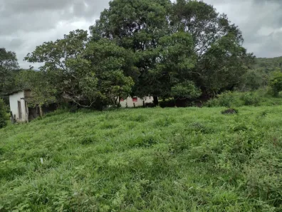 Lote/Terreno à venda, 20000m² no Zona Rural, Fortuna de Minas