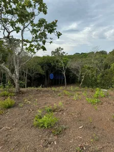 Fazenda/Sítio com 1 Quarto à venda, 3000m² no , Gameleira de Goiás