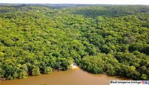 Lote/Terreno à venda, 2200m² no Açu da Torre, Mata de São João