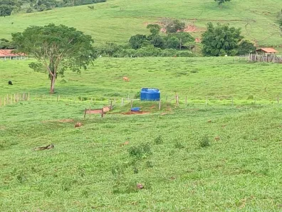 Fazenda/Sítio com 3 Quartos à venda, 2m² no , Jaraguá