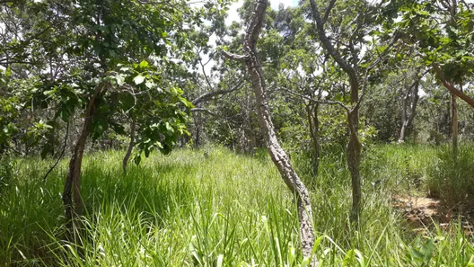 Lote/Terreno à venda, 20000m² no , Araçaí