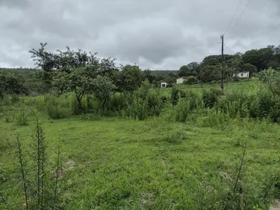 Fazenda/Sítio à venda, 20000m² no , Fortuna de Minas
