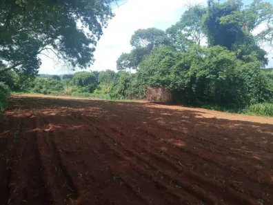 Fazenda/Sítio com 2 Quartos à venda, 55000m² no , Nerópolis