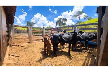 Fazenda/Sítio à venda, 1000000m² no Área Rural de Brazlândia, Brasília
