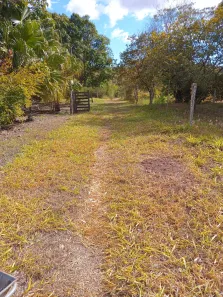 Fazenda/Sítio com 3 Quartos à venda, 210000m² no , Brasília