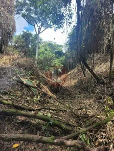 para alugar, 3800m² no Parque Ipiranga, Betim