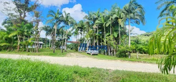 Fazenda/Sítio com 3 Quartos à venda, 300m² no Rio do Cedro, Antonina
