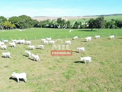 Fazenda/Sítio à venda, 500m² no , Gameleira de Goiás