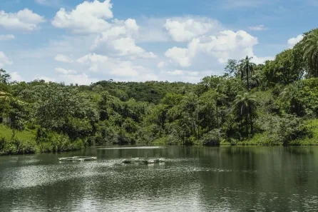 Lote/Terreno à venda, 20000m² no Lagoa Mansões, Lagoa Santa