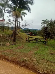 Fazenda/Sítio com 3 Quartos à venda, 338000m² no Guaraqueçaba, Guaraqueçaba