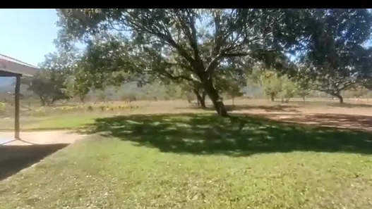 Fazenda/Sítio à venda no , Buritis
