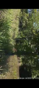 Fazenda/Sítio à venda, 2878m² no Niquelândia, Niquelândia