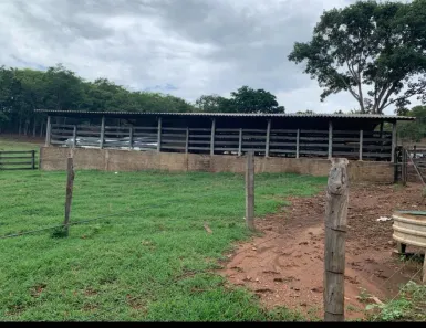 Fazenda/Sítio à venda no Vila São José, Inhumas