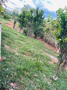 Fazenda/Sítio com 2 Quartos à venda, 8000m² no Parque das Nações, Anápolis