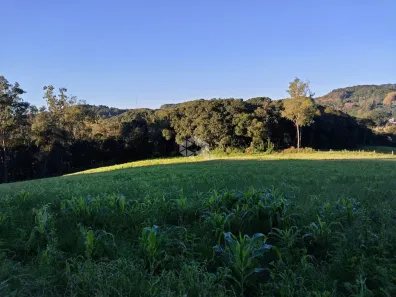 Fazenda/Sítio com 1 Quarto à venda, 20000m² no Monte Verde, Farroupilha