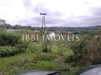 Fazenda/Sítio com 1 Quarto à venda, 24000m² no , Belmonte