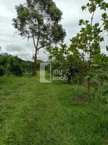 Fazenda/Sítio com 3 Quartos à venda, 120m² no Residencial Santo Antônio, Anápolis