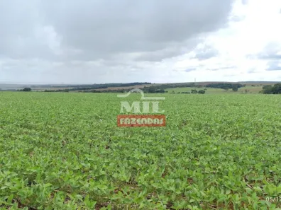Fazenda/Sítio à venda, 20000m² no , Gameleira de Goiás