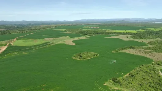 Fazenda/Sítio à venda, 18972800m² no , Niquelândia