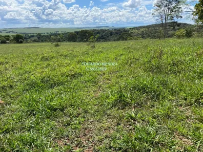 Fazenda/Sítio à venda, 70000m² no , Gameleira de Goiás