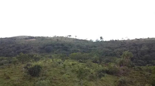Lote/Terreno à venda, 20151m² no , Cordisburgo
