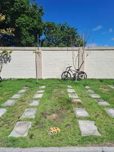 Apartamento com 2 Quartos para alugar, 48m² no Catu de Abrantes (Abrantes), Camaçari