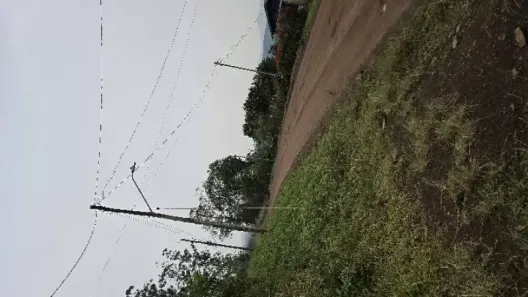 Fazenda/Sítio com 3 Quartos à venda, 120m² no Centro, Caraá