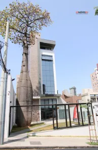 Sala Comercial para alugar, 126m² no Santo Antônio, Belo Horizonte