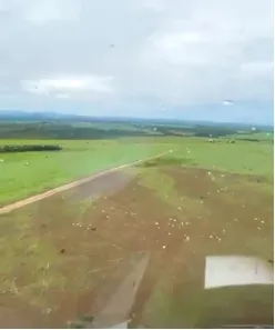 Fazenda/Sítio à venda, 15004000m² no , Niquelândia