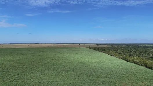 Galpão/Depósito/Armazém com 1 Quarto para alugar, 2550m² no , Ceará-Mirim