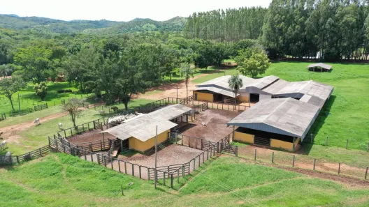 Fazenda/Sítio com 4 Quartos à venda, 6000000m² no , Padre Bernardo