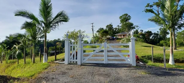 Fazenda/Sítio com 3 Quartos à venda, 117m² no , Antonina