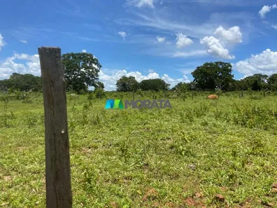 Fazenda/Sítio com 1 Quarto à venda, 190m² no , Buritis
