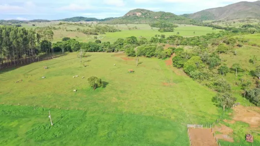 Fazenda/Sítio com 4 Quartos à venda, 6000000m² no , Padre Bernardo