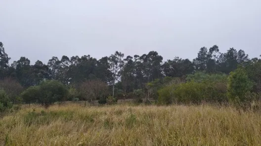Lote/Terreno à venda, 1829m² no Martinica, Viamão