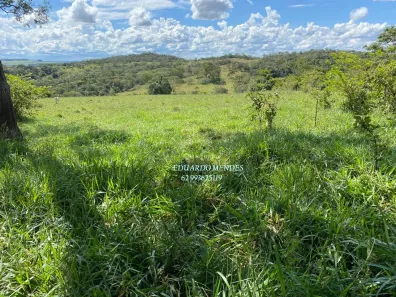 Fazenda/Sítio à venda, 70000m² no , Gameleira de Goiás