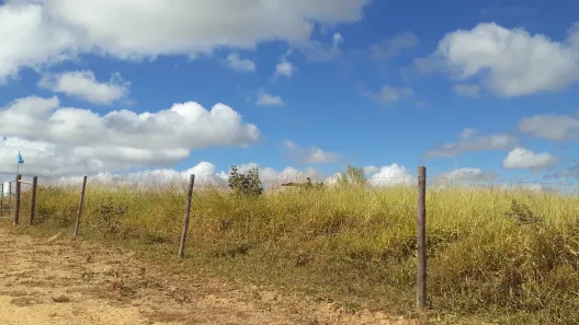 Lote/Terreno à venda, 20000m² no , Paraopeba