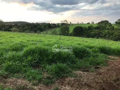 Fazenda/Sítio à venda, 48400m² no , Leopoldo de Bulhões