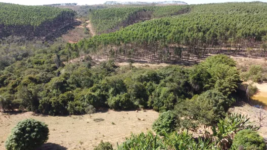 Lote/Terreno à venda, 20000m² no , Cordisburgo