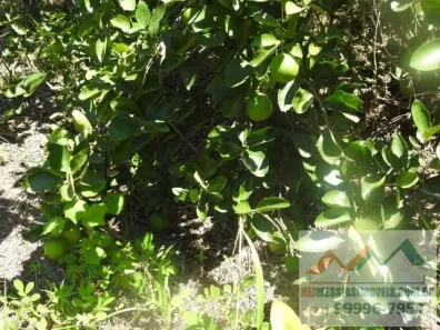 Fazenda/Sítio com 2 Quartos à venda, 86000m² no , Tanguá