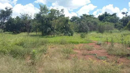 Fazenda/Sítio à venda, 2000m² no Setor Central, Terezópolis de Goiás