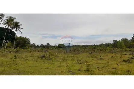 Fazenda/Sítio à venda, 1400000m² no Centro, Caravelas