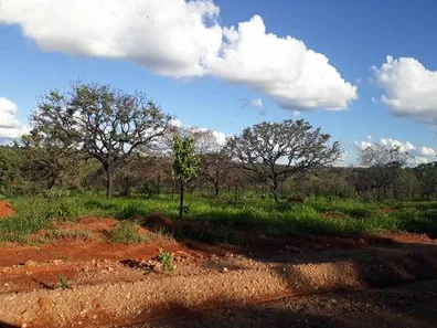 Lote/Terreno à venda, 20000m² no , Araçaí