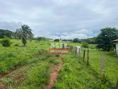 Fazenda/Sítio à venda, 14520000m² no Vila Mutirão, Inhumas